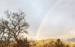 Wine Country Estate - Grants Pass, Oregon