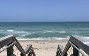 Sea-lah - Melbourne Beach, Florida