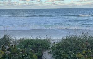 Sea-lah - Melbourne Beach, Florida