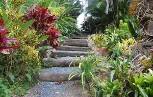 Urban Tropical Oasis - Guaynabo, Puerto Rico