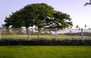 Hawaiian Dream Getaway - Kailua Kona, Hawaii