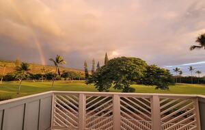 Hawaiian Dream Getaway - Kailua Kona, Hawaii