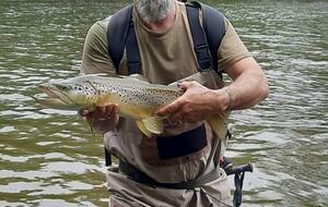 The Old Post Office Holiday Home - Tongariro National Park District, Ruapehu Region, New Zealand