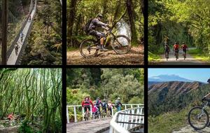 The Old Post Office Holiday Home - Tongariro National Park District, Ruapehu Region, New Zealand