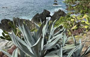 Pacific Paradise - Ixtapa de Azueta, Mexico