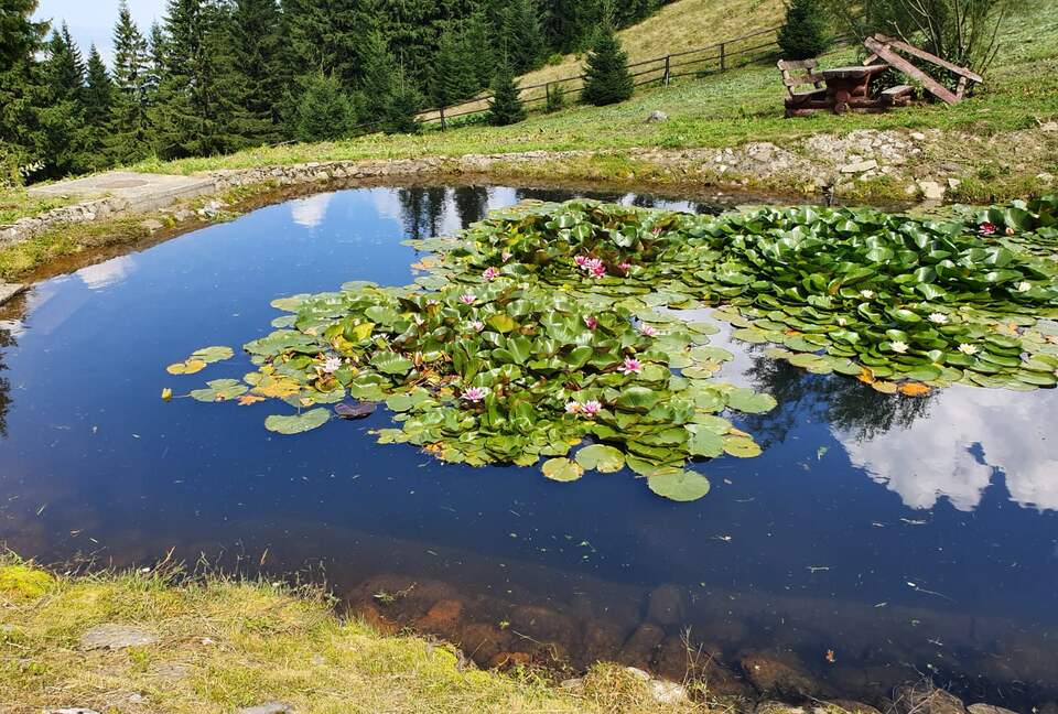 Licorna Alpine Style Retreat - Rasnov, Romania