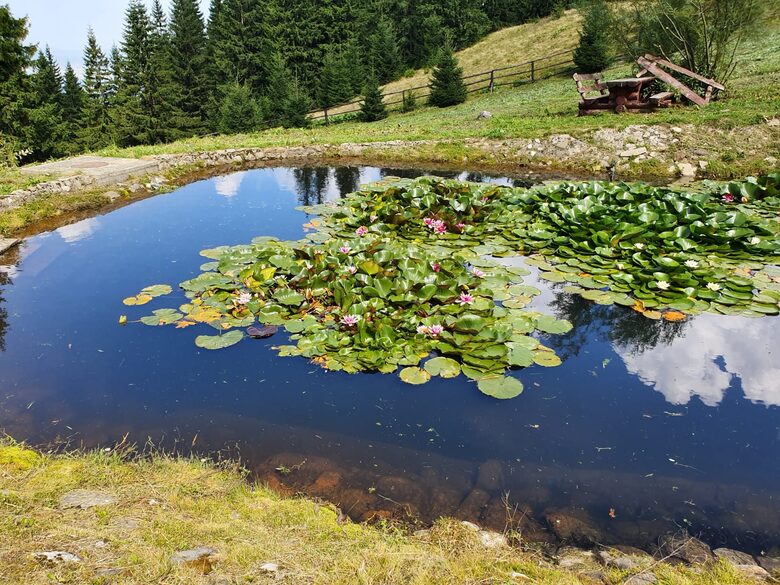 Licorna Alpine Style Retreat - Rasnov, Romania