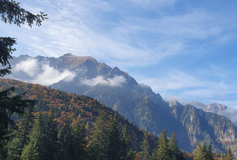 Licorna Alpine Style Retreat - Rasnov, Romania