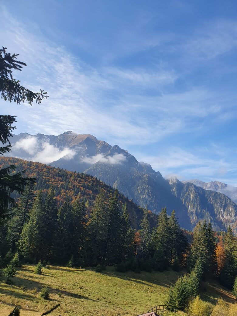 Licorna Alpine Style Retreat - Rasnov, Romania