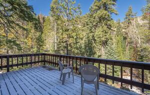 Alpine Meadow Ski Home | Near Lake Tahoe - Alpine Meadows, California