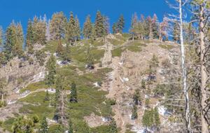 Alpine Meadow Ski Home | Near Lake Tahoe - Alpine Meadows, California