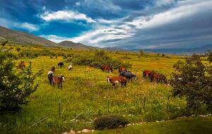 Wild Horse Lodge - Eden, Utah