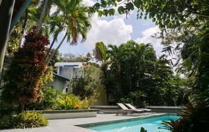 Urban Tropical Oasis - Guaynabo, Puerto Rico