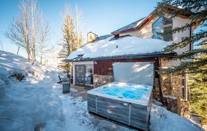 10 person hot tub w/ built in speakers