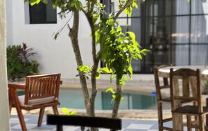 Casa Gaviota - MERIDA, Mexico