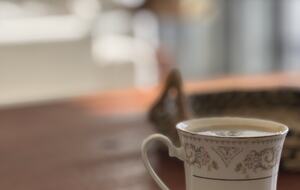 Casa Gaviota - MERIDA, Mexico