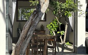 Casa Gaviota - MERIDA, Mexico