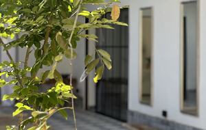 Casa Gaviota - MERIDA, Mexico