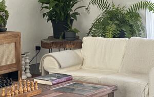 Casa Gaviota - MERIDA, Mexico