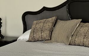 Casa Gaviota - MERIDA, Mexico