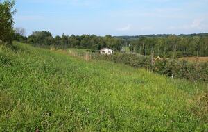 Forest Lodge in the Berkshires - Hillsdale, New York