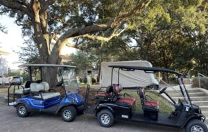 SanDestin Golf & Beach Delight with two golf carts - Miramar Beach, Florida
