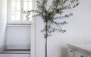 Villa Luna - Lisciano Niccone, Italy