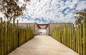 The Club at Solaz – 3 Bedroom Villa - Cabo Real, San José del Cabo., Mexico