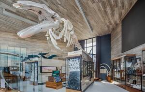 The Club at Solaz – 3 Bedroom Villa - Cabo Real, San José del Cabo., Mexico