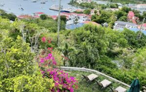 The SALT Suite | Garden View - St John, Virgin Islands, U.S.