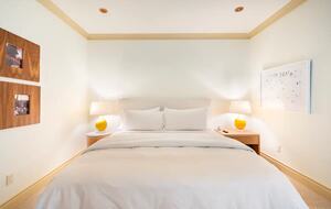 Modern Aspen Beauty - Aspen, Colorado