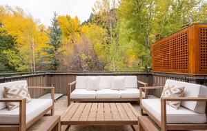 Modern Aspen Beauty - Aspen, Colorado