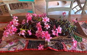 La Moraleja- Margarita - Margarita Island, Venezuela