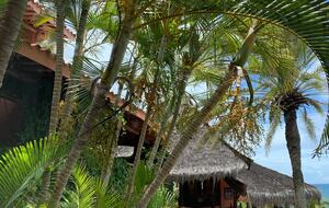 La Moraleja- Margarita - Margarita Island, Venezuela