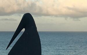 La Moraleja- Margarita - Margarita Island, Venezuela