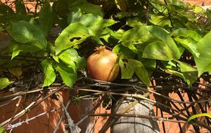 La Moraleja- Margarita - Margarita Island, Venezuela