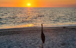 Sanibel Retreat on a Resort Island | Private country club golf course - Sanibel, Florida