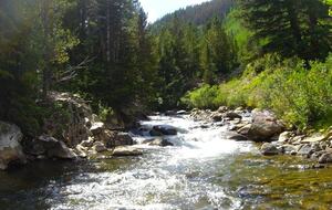 Ten Mile Creek - 2 blocks away - Fly Fishing