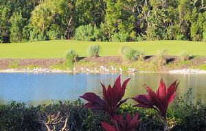 Sanibel Retreat on a Resort Island | Private country club golf course - Sanibel, Florida
