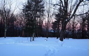 Forest Lodge in the Berkshires - Hillsdale, New York