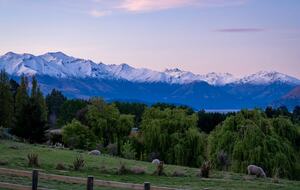 Hidden Oasis Retreat - Wanaka, New Zealand