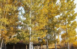 Stunner in Aspen/Snowmass - 25 Acre Mountain Perfection - Snowmass, Colorado