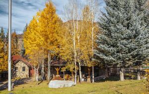 Stunner in Aspen/Snowmass - 25 Acre Mountain Perfection - Snowmass, Colorado