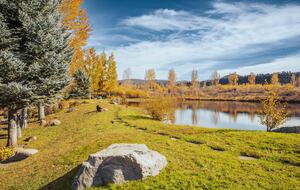 Stunner in Aspen/Snowmass - 25 Acre Mountain Perfection - Snowmass, Colorado