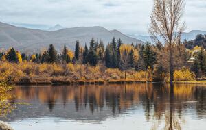 Stunner in Aspen/Snowmass - 25 Acre Mountain Perfection - Snowmass, Colorado