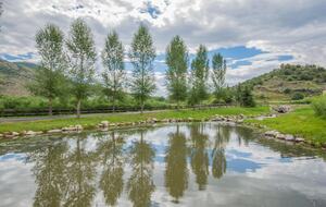 Stunner in Aspen/Snowmass - 25 Acre Mountain Perfection - Snowmass, Colorado