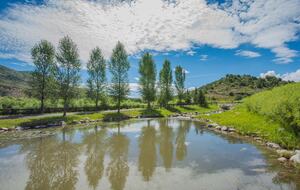 Stunner in Aspen/Snowmass - 25 Acre Mountain Perfection - Snowmass, Colorado