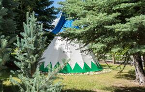 Stunner in Aspen/Snowmass - 25 Acre Mountain Perfection - Snowmass, Colorado