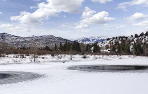 Stunner in Aspen/Snowmass - 25 Acre Mountain Perfection - Snowmass, Colorado