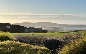 View from edge of yard of fairway and perched Great blue heron.